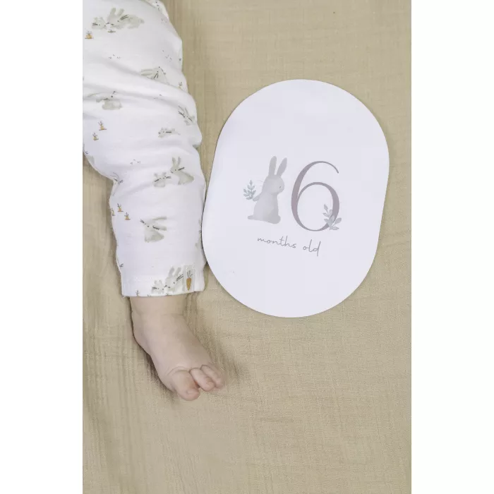 Set de cartonase pentru etapele din primul an al bebelusului - Baby Bunny - Little Dutch