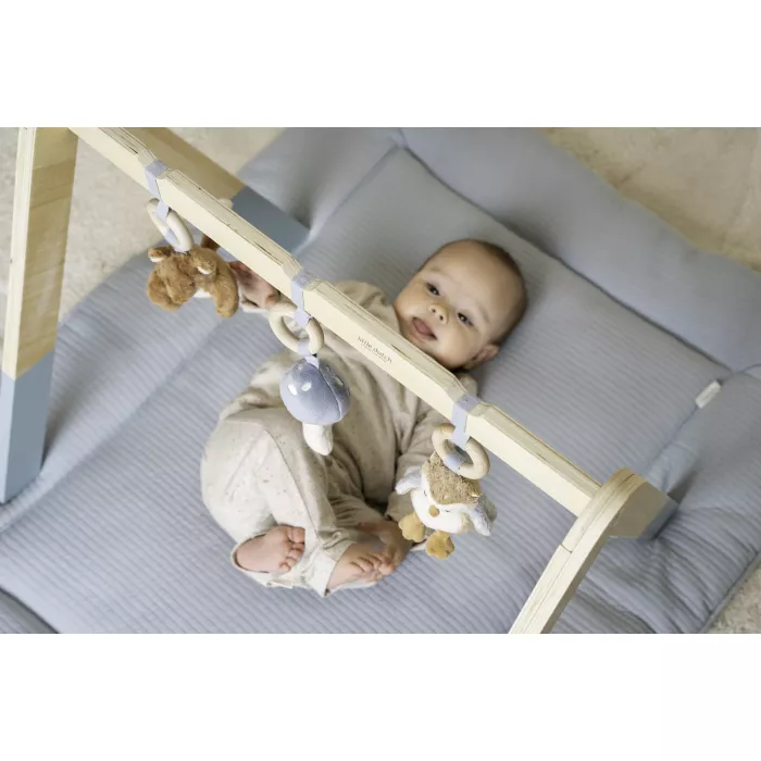 Centru de activitati pentru bebelusi - Baby Gym - Forest Friends - Little Dutch